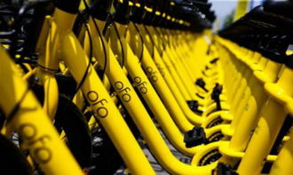 ofo 回應(yīng)異?？圪M(fèi) 抖音回應(yīng)廣告業(yè)務(wù)被停 余額寶總規(guī)模達(dá) 1.8 萬億元