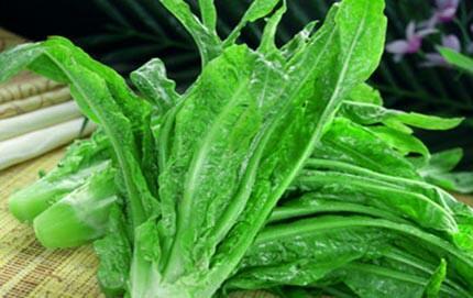 筍尖- 蔬菜配送網