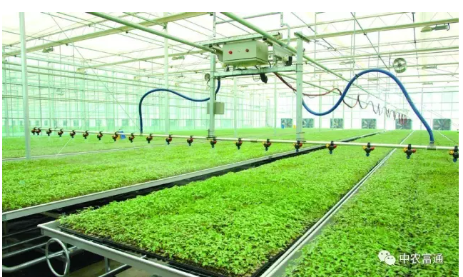 農(nóng)業(yè)科技園區(qū)的一面旗幟--孫橋現(xiàn)代農(nóng)業(yè)園區(qū)