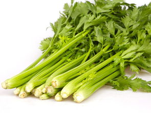 全家福膳食食堂蔬菜配送服務(wù)報(bào)價(jià) 南城蔬菜配送公司