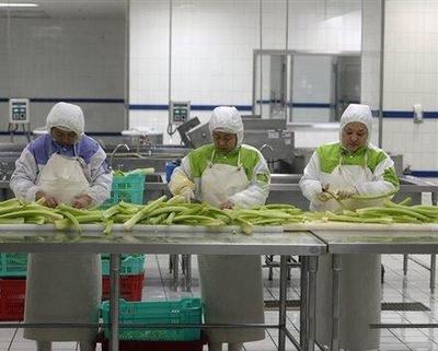 昂貴的高鐵快餐制作流水線 幾百斤肉一起炒 醬油按桶倒