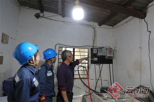 云南陸良 優質電護航 粵港澳大灣區 優質蔬菜供給中心發展