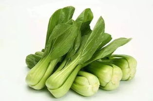 每周快檢 本周,金灣有哪些市場的菜被檢出不合格 趕緊收下這份檢測報(bào)告