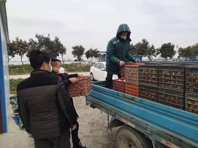 疫情前,農(nóng)副產(chǎn)品&ldquo;大聯(lián)銷&rdquo;助農(nóng)戶&ldquo;產(chǎn)銷無憂&rdquo;