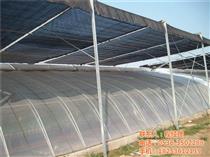 濰坊蔬菜溫室產(chǎn)品庫 優(yōu)質(zhì)農(nóng)副產(chǎn)品的采購指南